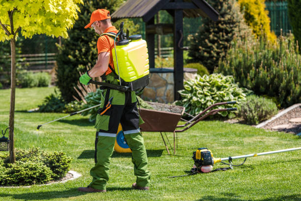 Best Lawn Pest Control  in Tara Hills, CA